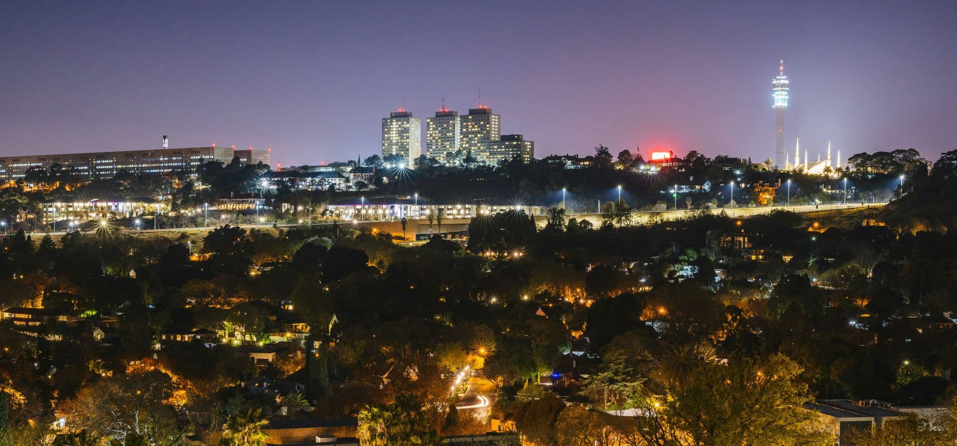 Pest Damage and Building Safety in Johannesburg